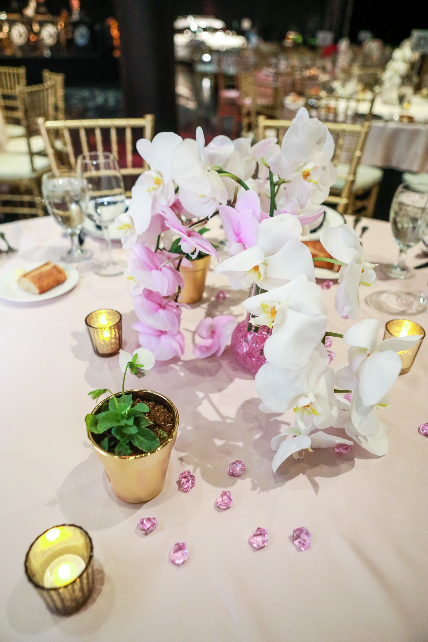 Blackhawk Museum Venue